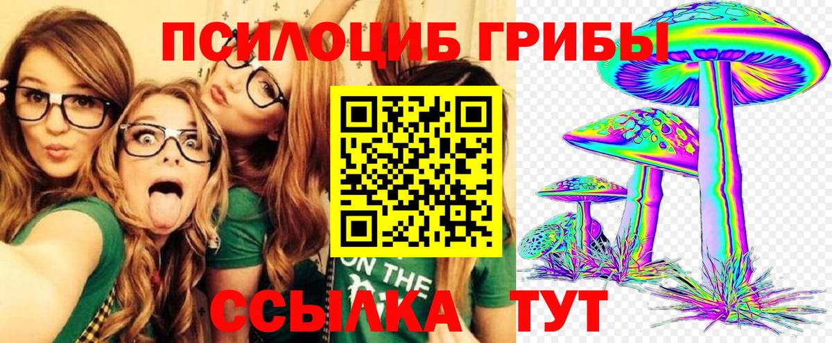 Галлюциногенные грибы MAGIC MUSHROOMS  Вход с VPN  Всеволожск  Галлюциногенные грибы Psilocybine cubensis 
