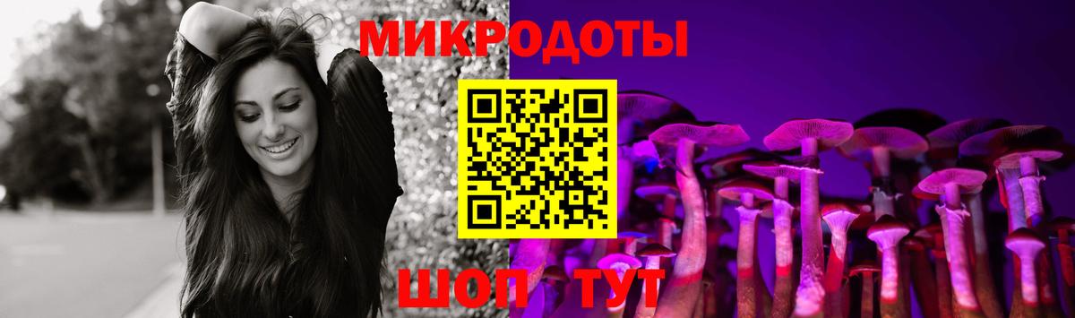 Псилоцибиновые грибы Psilocybe Всеволожск
